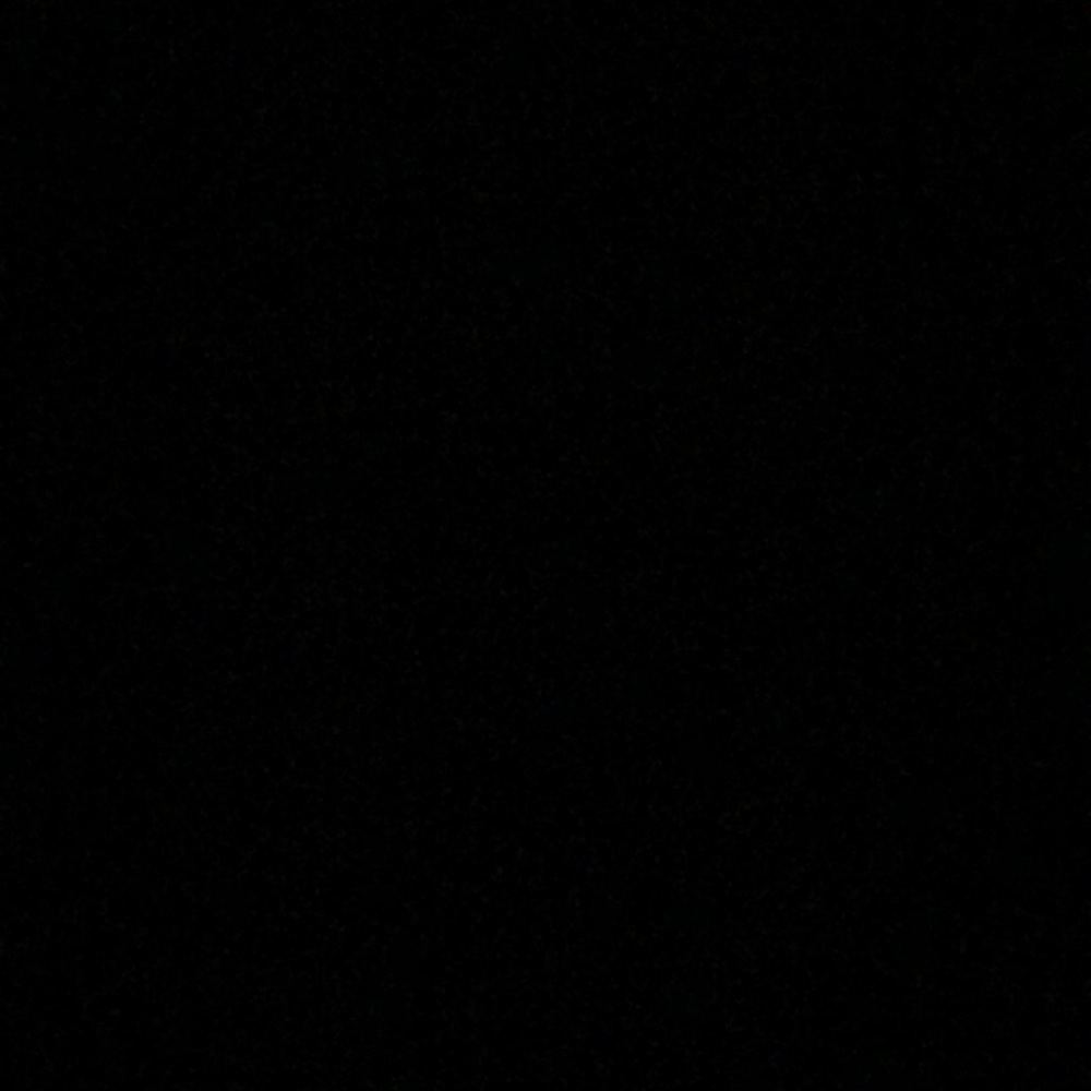 Meet your Posher, Owen